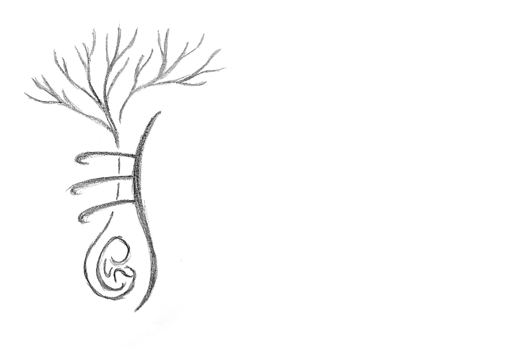 Logo Olivia Cuisset-2-points