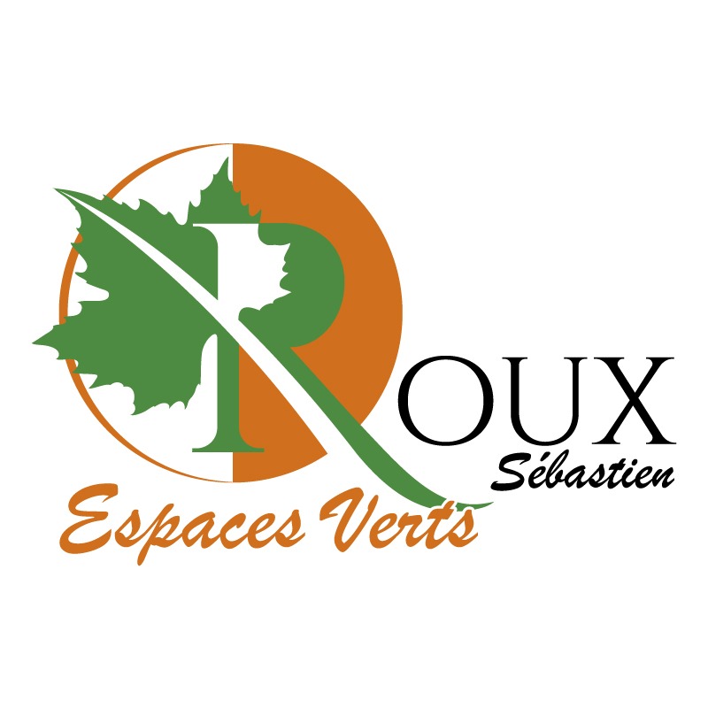Logo Visuel Couleur